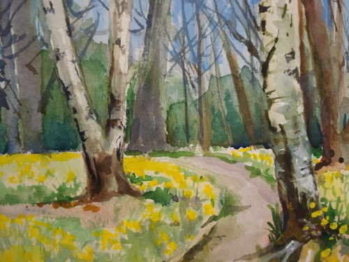 Daffodils, Miss Wilmots, Warley, watercolour by Julia Blencowe