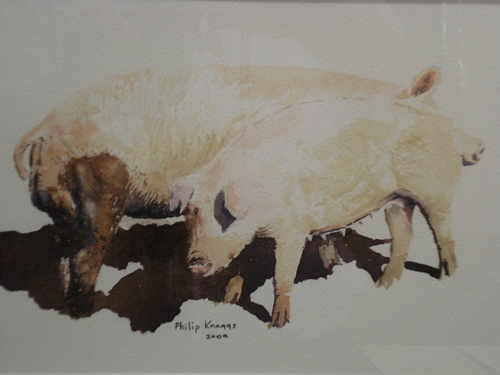 Two Porkers, watercolour painting by Phillip Knaggs