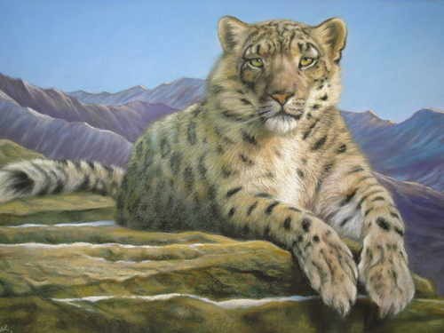 Snow Leopard, pastel painting by Mark Blue