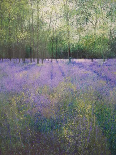 Birdsong and Bluebells, Limited Edition print by Paul Evans
