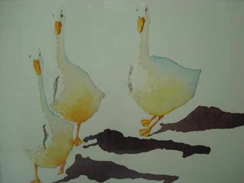 Three Ducks, watercolour painting by Phillip Knaggs
