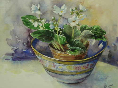 White Violets in a bowl, watercolour painting by Julia Blencowe